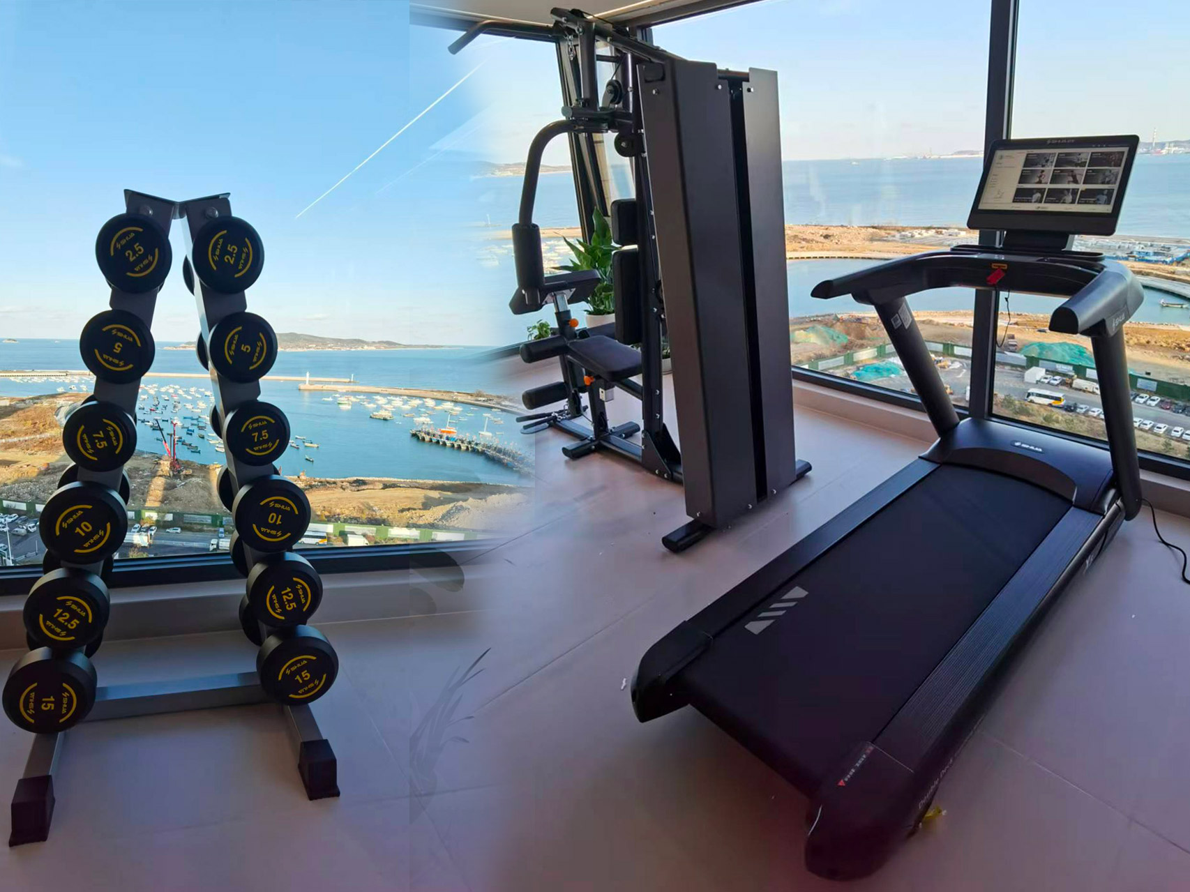 威海小型家庭健身房的图片